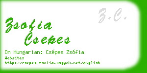zsofia csepes business card